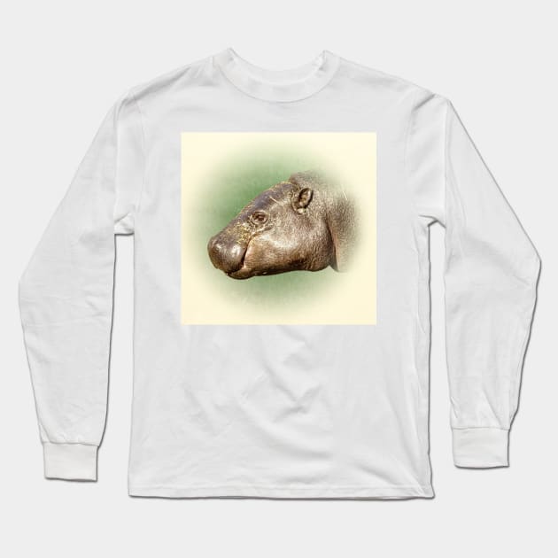 Pygmy hippopotamus Long Sleeve T-Shirt by Guardi